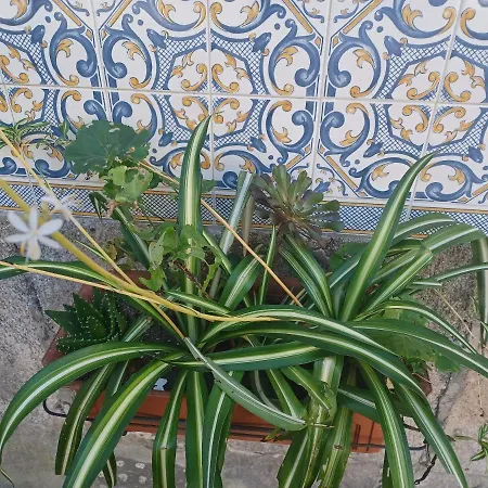 Cosy In Centre - 50 Sqm With Parking *