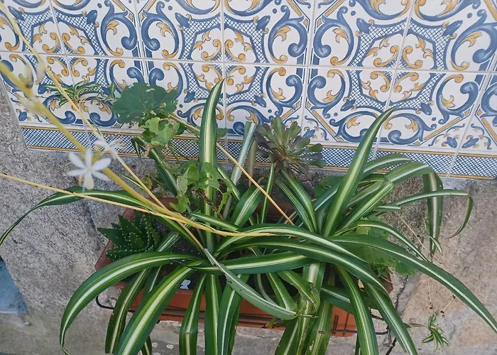 Cosy In Centre - 50 Sqm With Parking *